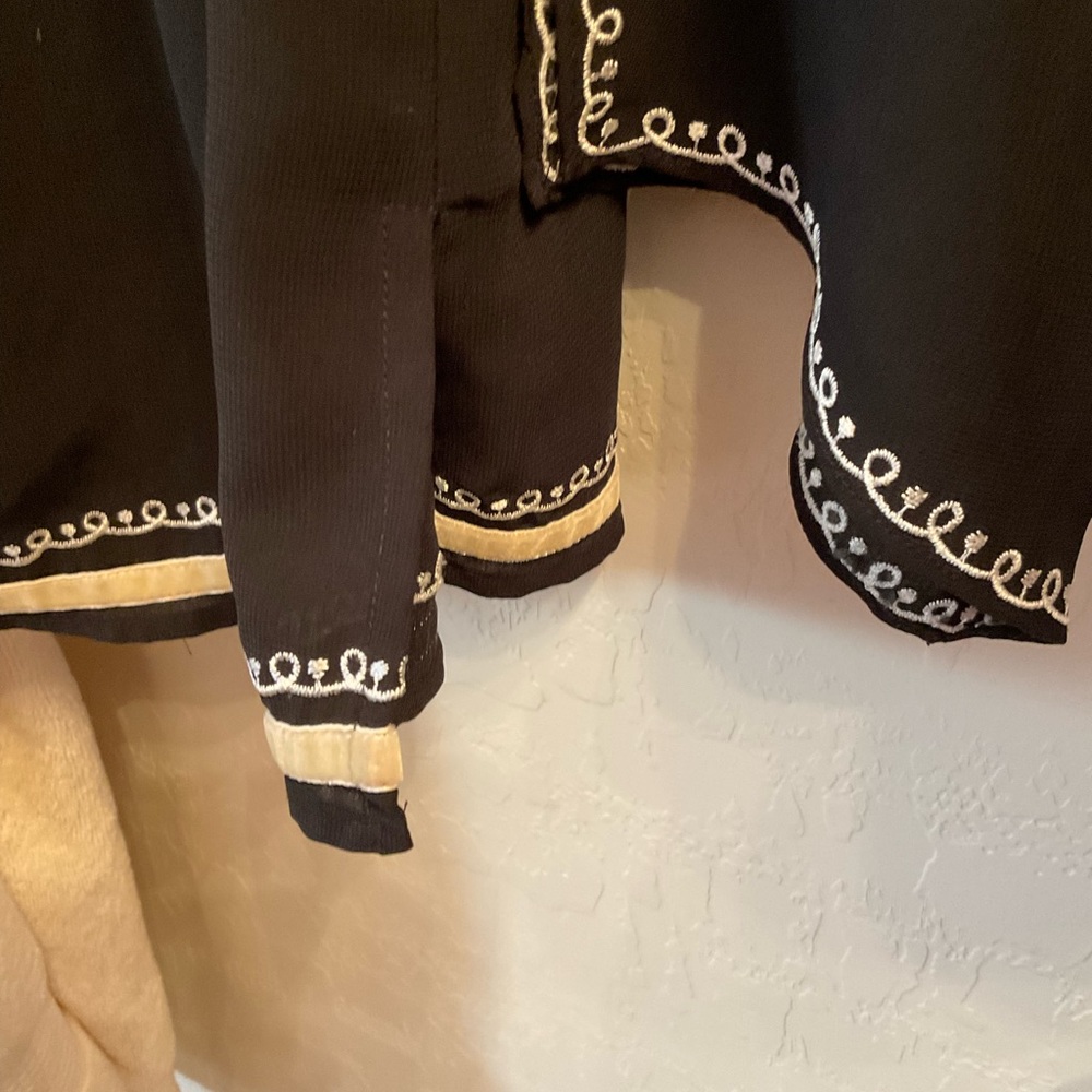 Vintage Stunning Jordan Embroidered Semi Sheer Fancy Top, Butterfly on sleeves - Picture 8 of 13